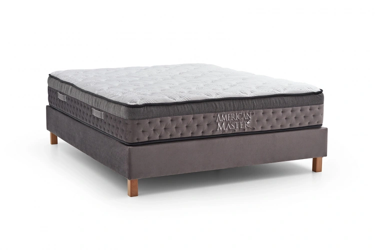 American Master Plus