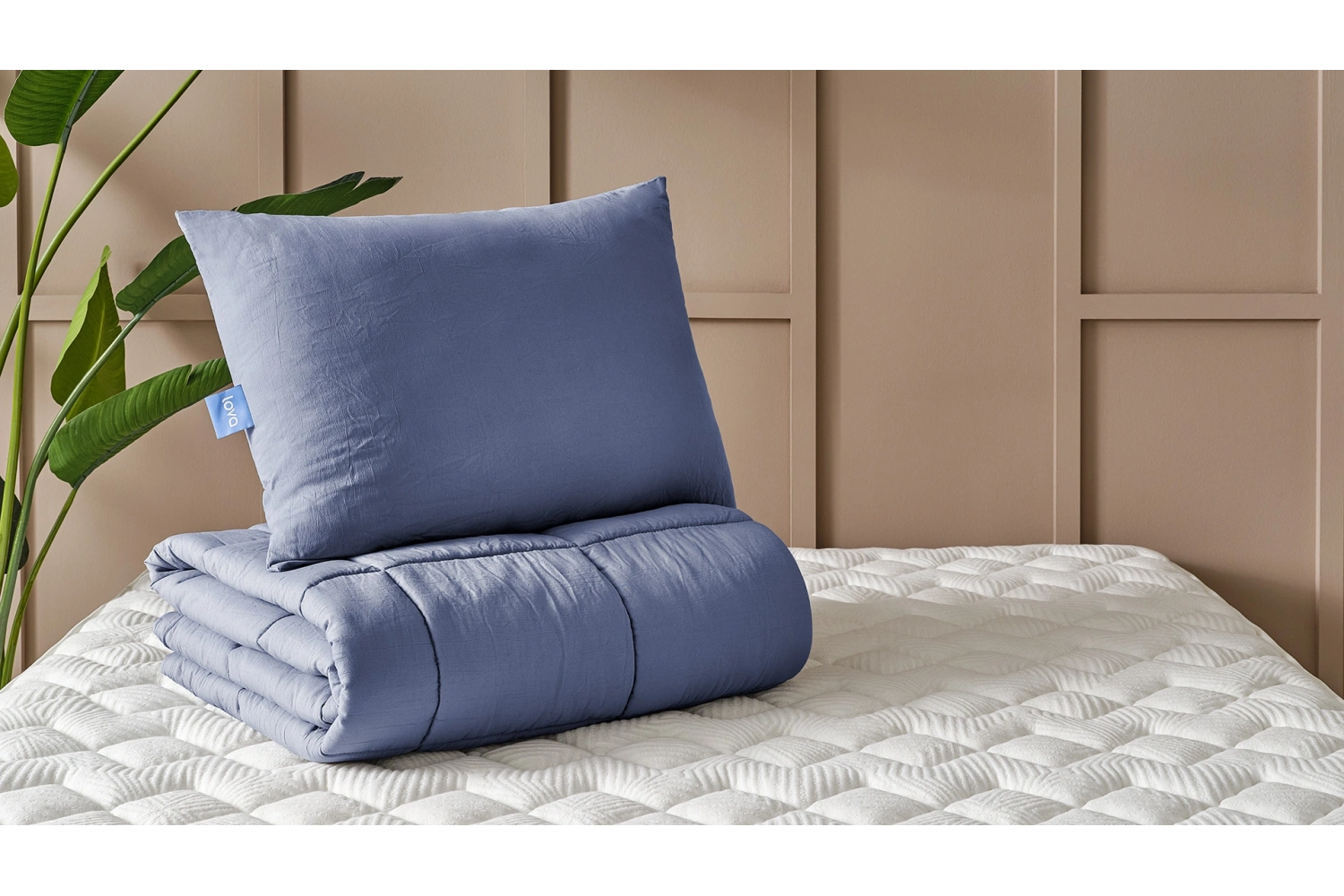 Daria Yastık Yorgan Seti