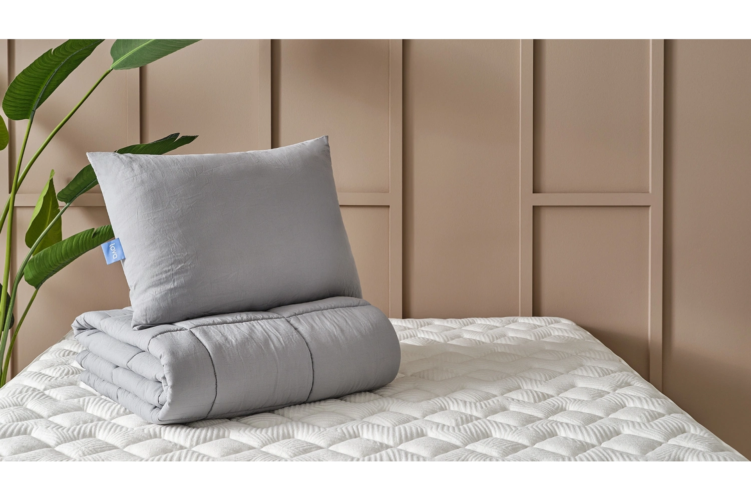 Daria Yastık Yorgan Seti