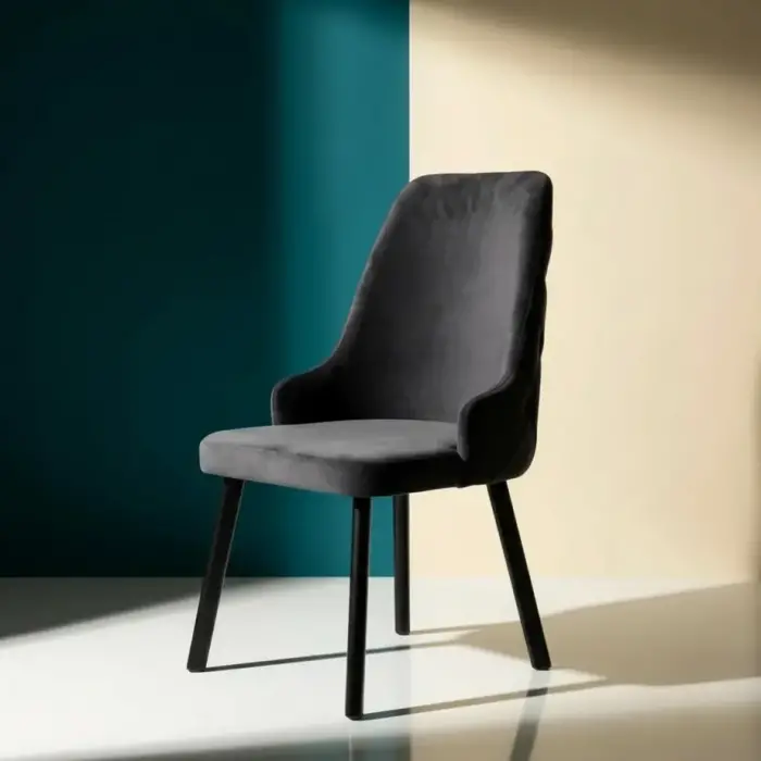 Erciyes Metal Sandalye - Siyah