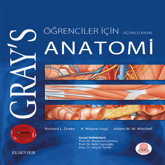 Grays Anatomi Öğrenciler için- 9786059215404