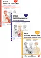 Basic Human Anatomy SET 3LÜ