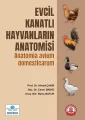 Evcil Kanatlı Hayvanların Anatomisi