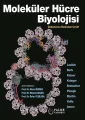 Moleküler Hücre Biyolojisi