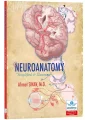 Neuroanatomy Simplified & Illustrated