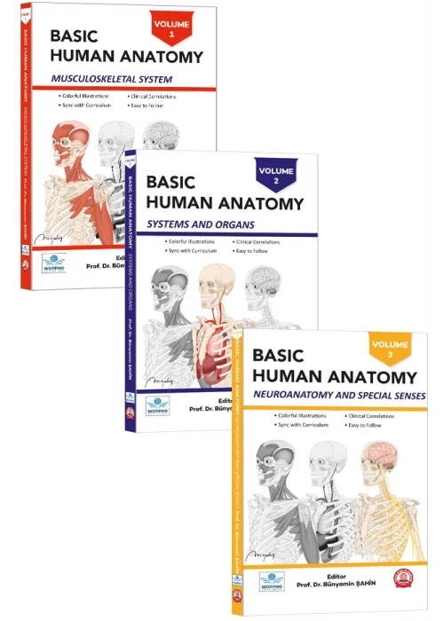 Basic Human Anatomy SET 3LÜ