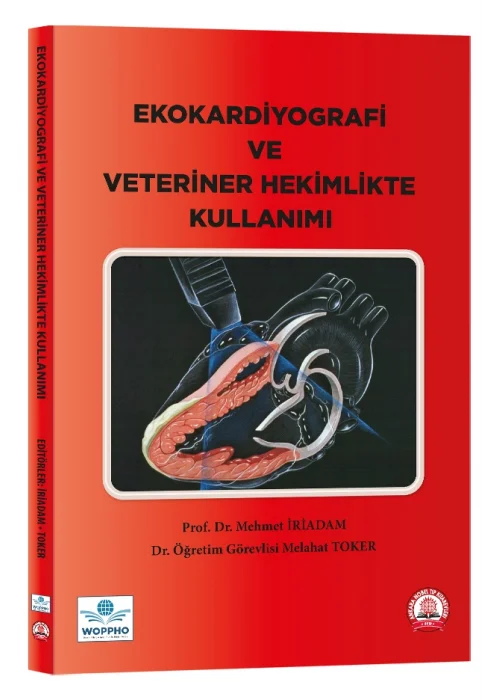 Ekokardiyografi ve Veteriner Hekimlikte Kullanımı