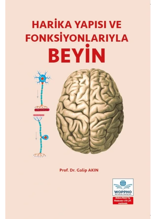 Harika Yapısı ve Fonksiyonlarıyla BEYİN