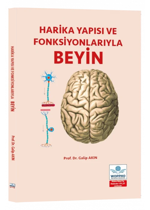 Harika Yapısı ve Fonksiyonlarıyla BEYİN