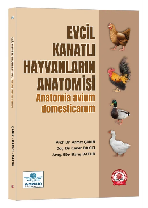 Evcil Kanatlı Hayvanların Anatomisi