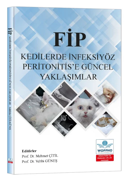 FİP Kedilerde İnfeksiyöz Peritonitis’e Güncel Yaklaşımlar