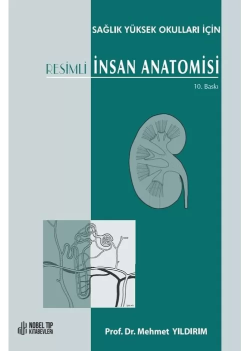 Resimli İnsan Anatomisi 10. Baskı