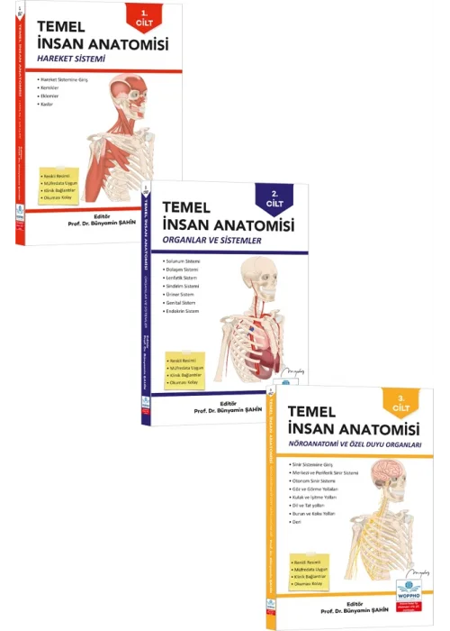 Temel Anatomi Seti 3LÜ