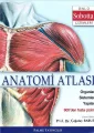 Anatomi Atlası (Sobotta Çizimleri)