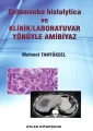 Entamoeba histolytica ve Klinik Laboratuvar Yönüyle Ambiyaz