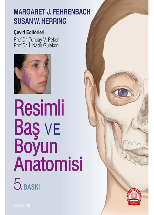 Resimli Baş ve Boyun Anatomisi