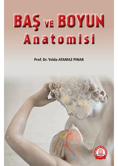 Baş ve Boyun Anatomisi