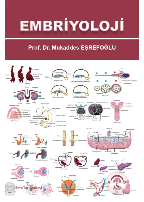 EMBRİYOLOJİ
