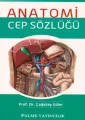 Anatomi Cep Sözlüğü