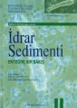İdrar Sedimenti Entegre Bir Bakış