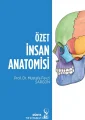 Özet İnsan Anatomisi