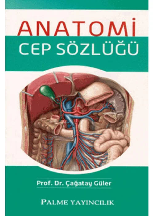 Anatomi Cep Sözlüğü