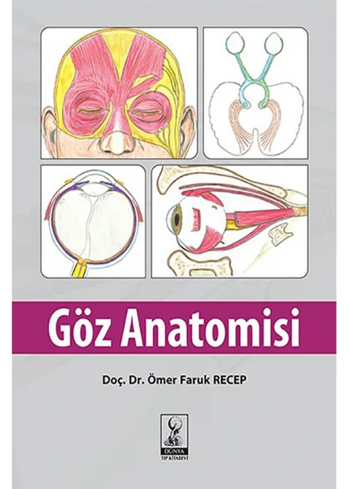 Göz Anatomisi