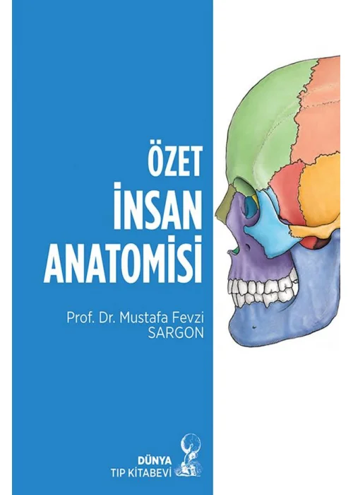 Özet İnsan Anatomisi