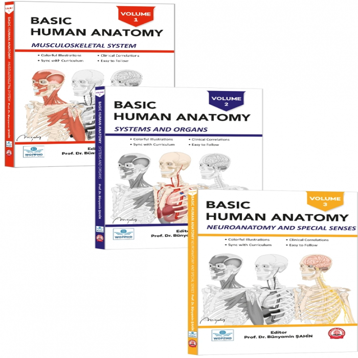 Basic Anantomy Basic Human Anatomy SET 3LÜ- BASICANATOMY01
