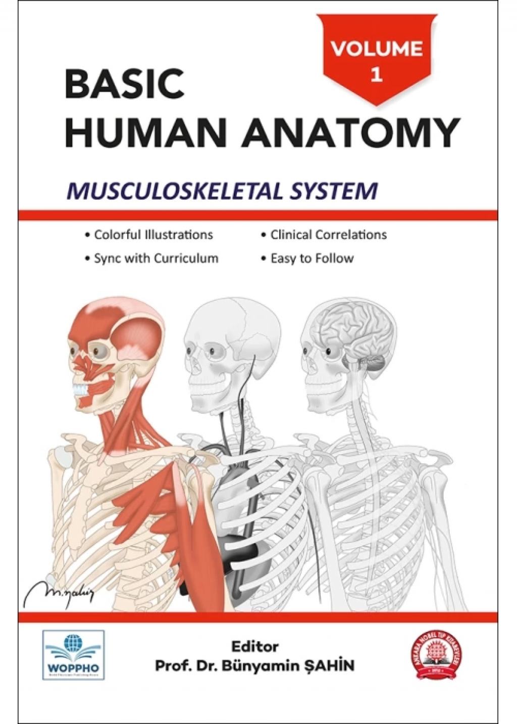 Basic Human Anatomy SET 3LÜ- BASICANATOMY01