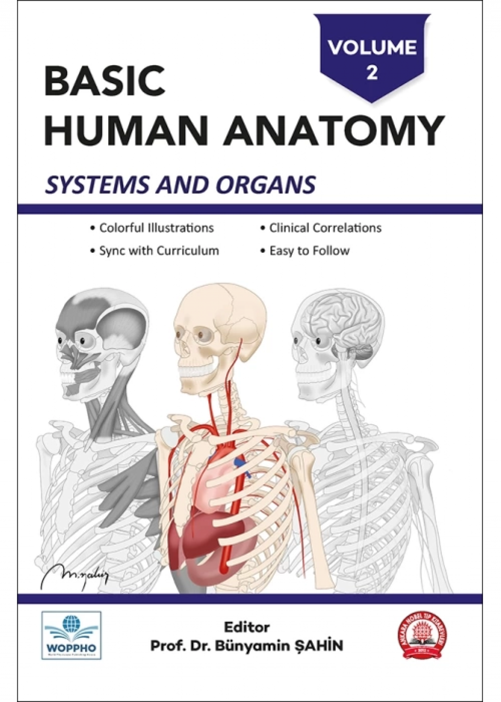 Basic Anantomy Basic Human Anatomy SET 3LÜ- BASICANATOMY01