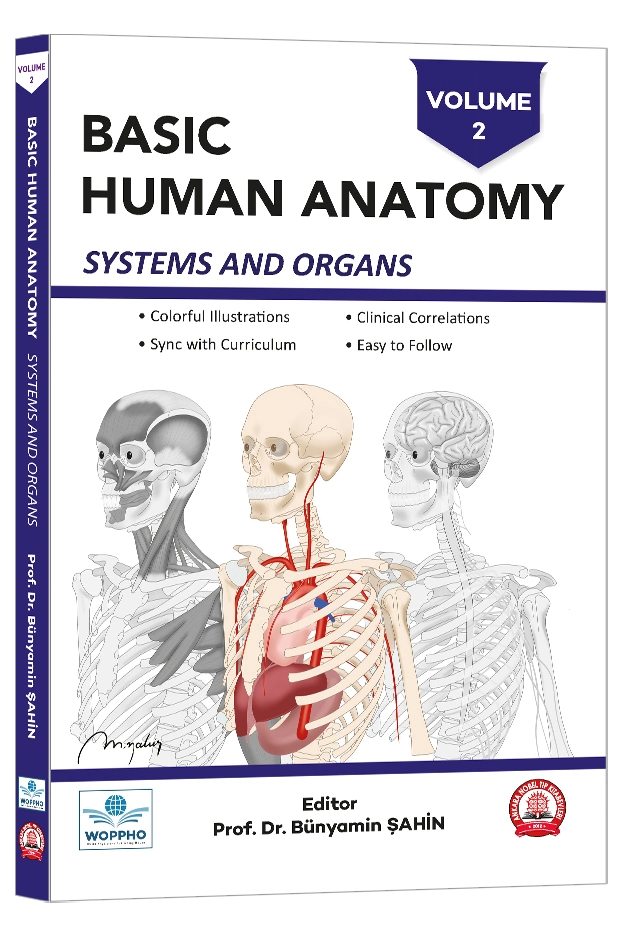 basic-human-anatomy-systems-