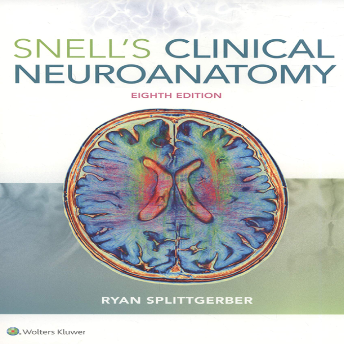 Snells Clinical Neuroanatomy 8th - 9781496346759