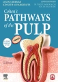 Cohens Pathways of the Pulp Türkçe 12.Baskı (Ön Sipariş)