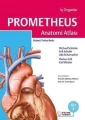 Prometheus Anatomi Atlası 2. Cilt