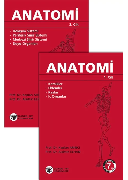 Arıncı - Anatomi 1-2