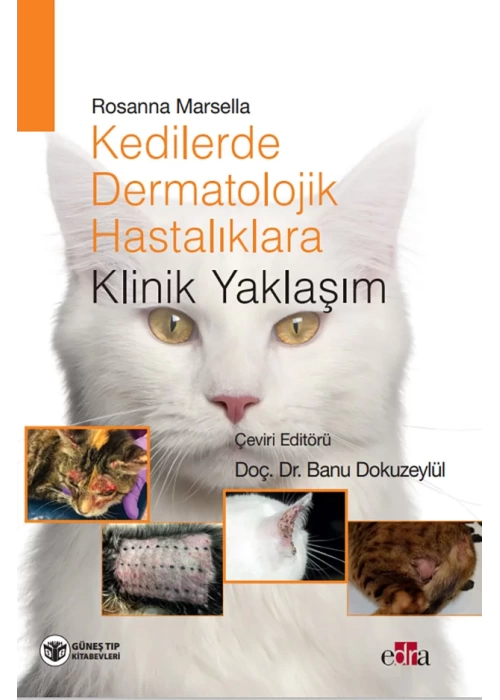 Kedilerde Dermatolojik Hastalıklara Klinik Yaklaşım