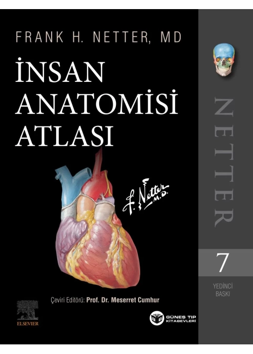 Netter İnsan Anatomisi Atlası 7. Baskı