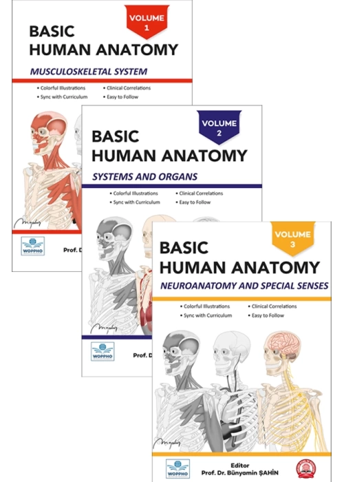 Basic Human Anatomy SET 3LÜ