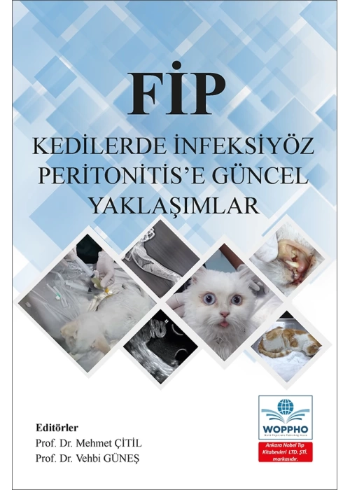 FİP Kedilerde İnfeksiyöz Peritonitis’e Güncel Yaklaşımlar