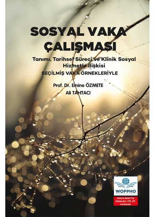 Sosyal Vaka Çalışması