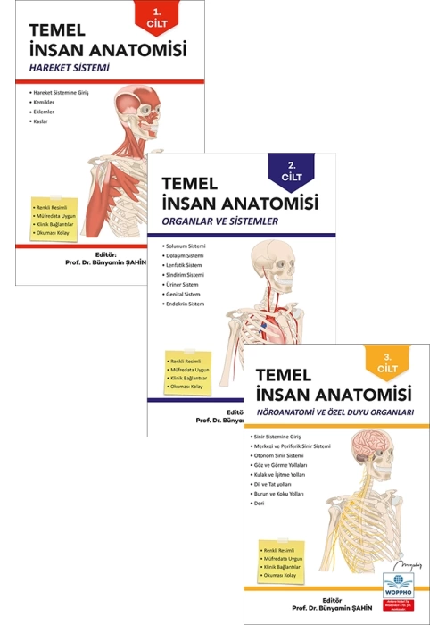 Temel Anatomi Seti 3LÜ