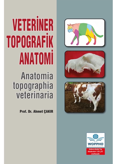 Veteriner Topografik Anatomi