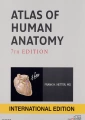 Netter Atlas of Human Anatomy International Edition, 7th Edition