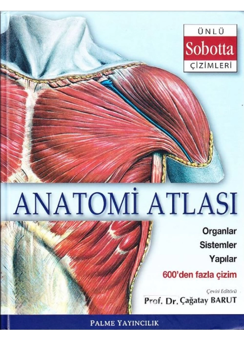 Anatomi Atlası (Sobotta Çizimleri)