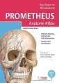 Prometheus Anatomi Atlası 3. Cilt