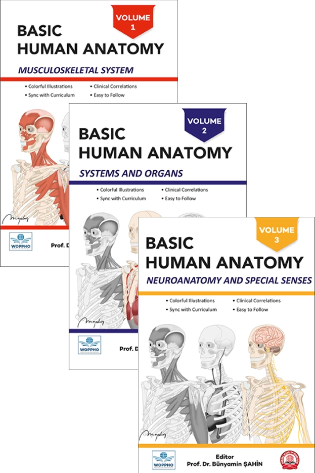 Basic Human Anatomy SET 3Lร Biology Diagrams
