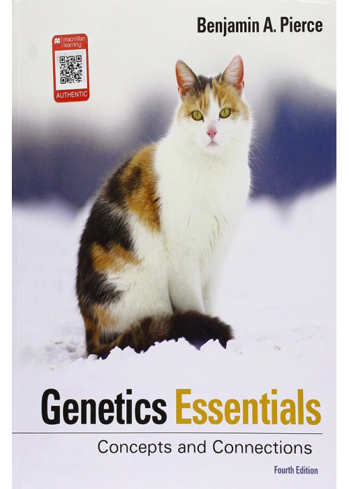Essentials Concepts and Connections Fourth Edition 9781319107222