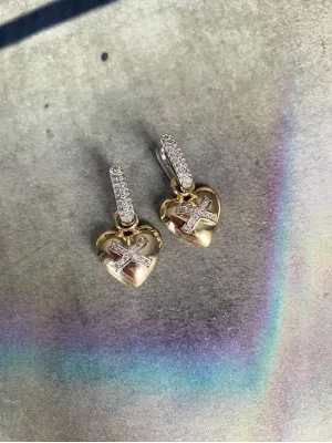 Parlak Yüzeyli XKalpli Küpe