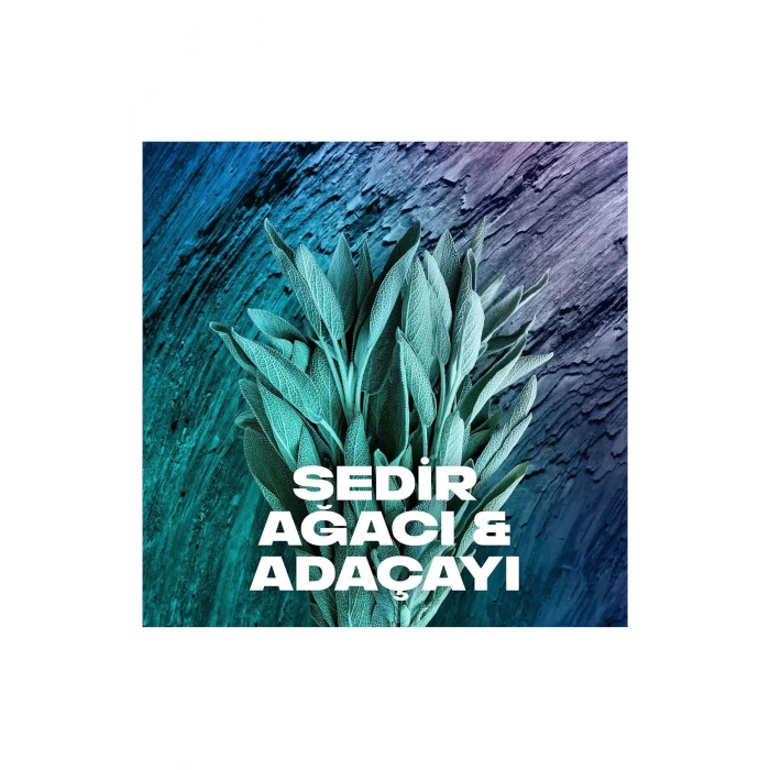 3 Adet Axe Erkek Sprey Deodorant Apollo 48 Saat Etkileyici Koku Vücut Spreyi 150 ml